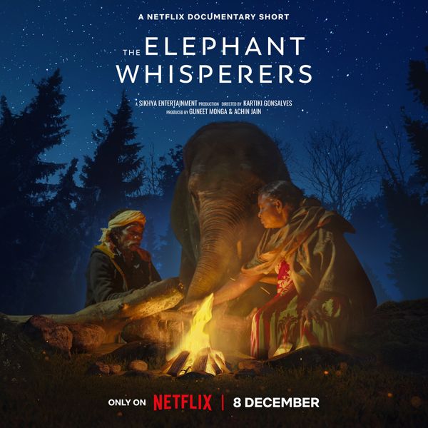 The Elephant Whisperers (2022) - ภาพอันน่าหลงใหลสู่โลกแห่งการเชื่อมโยงระหว่างมนุษย์กับช้าง